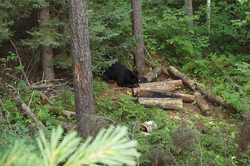 A typical view from a stand