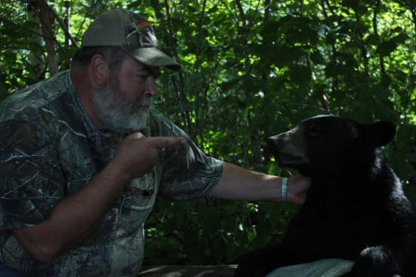 Field dressing a black bear | ON TARGET in CANADA Field dressing a black bear | ON TARGET in CANADA