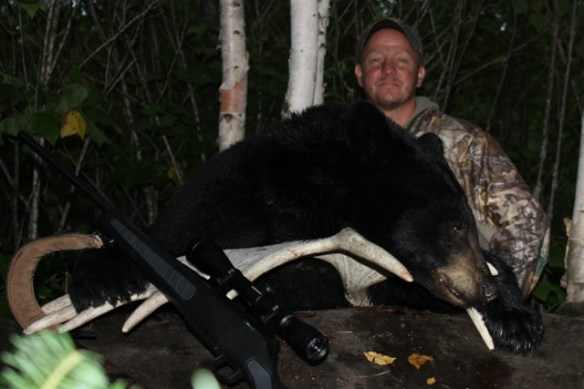 Field dressing a black bear | ON TARGET in CANADA Field dressing a black bear | ON TARGET in CANADA