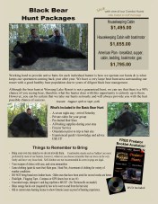 Bear Hunt Rates