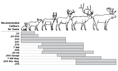 Recommended-Calibers-for-Game
