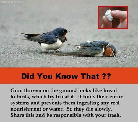 487200_10150938177607687_141046294_n