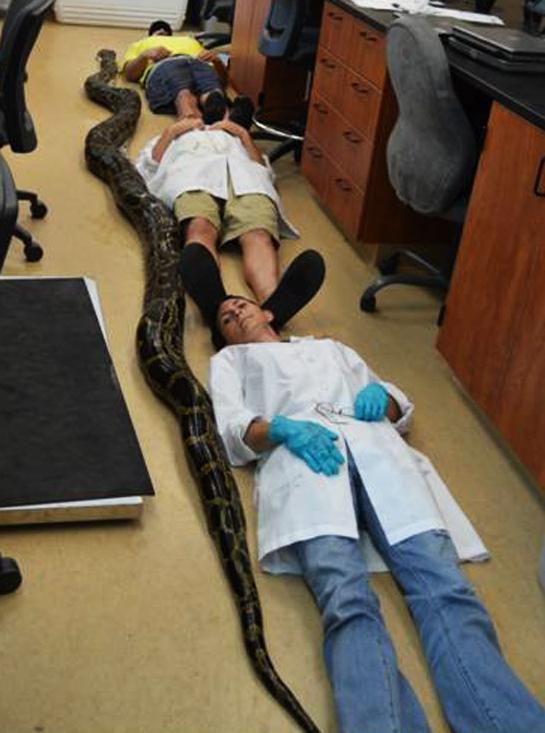 943118_10151586950788349_1725972765_n