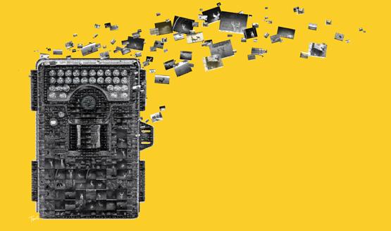 CameraNO_MosaicYELLOW