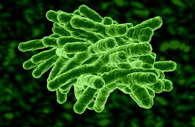 Minuscule solar panels placed on microbes could create a chemical reaction akin to artificial photosynthesis 