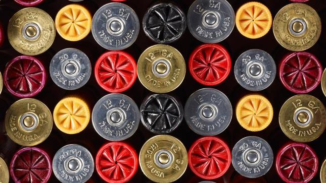 shotshells3
