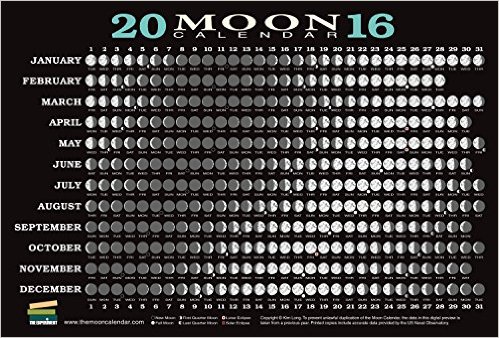 61-4vQI-vTL__SY336_BO1,204,203,200_